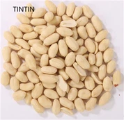 Horký prodej vynikající kvality 100% přírodních blanšírovaných arašídových jader