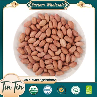 Vysoce kvalitní nová jádra arašídů