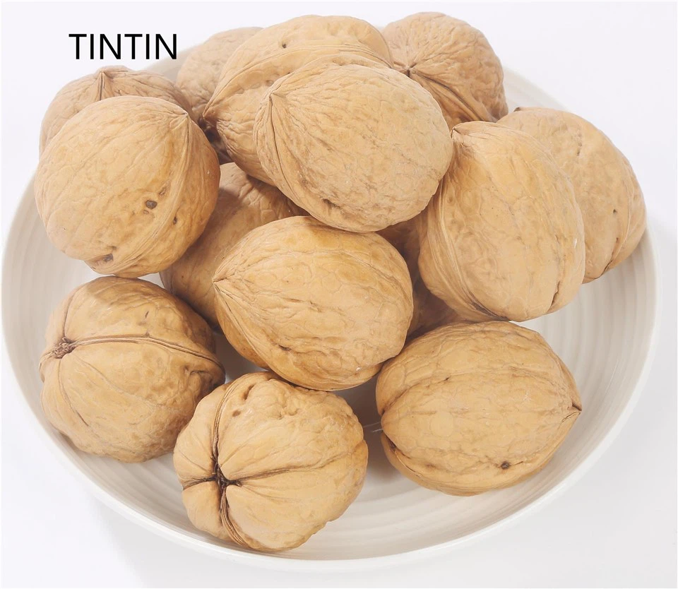 Speciální sleva Nejlevnější 185 Walnut Inshell Xinjiang Výrobce Walnut in Shell Paper Walnut